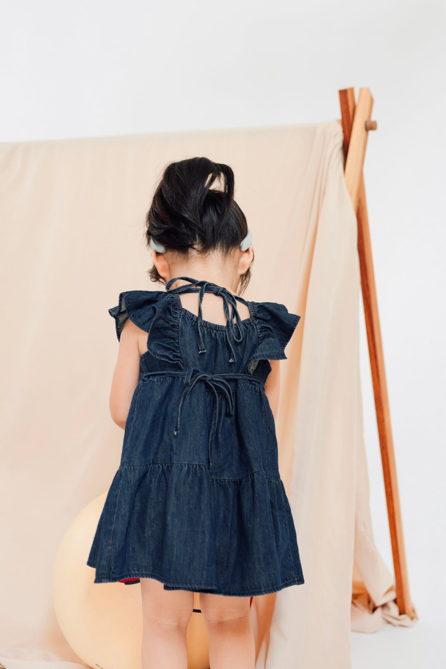 Butterfly Denim Bow Dress