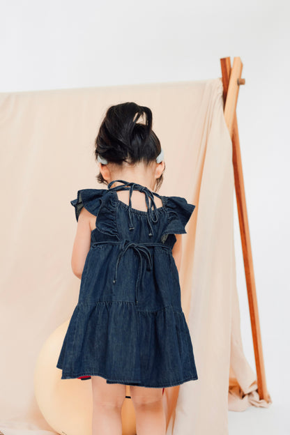 Butterfly Denim Bow Dress