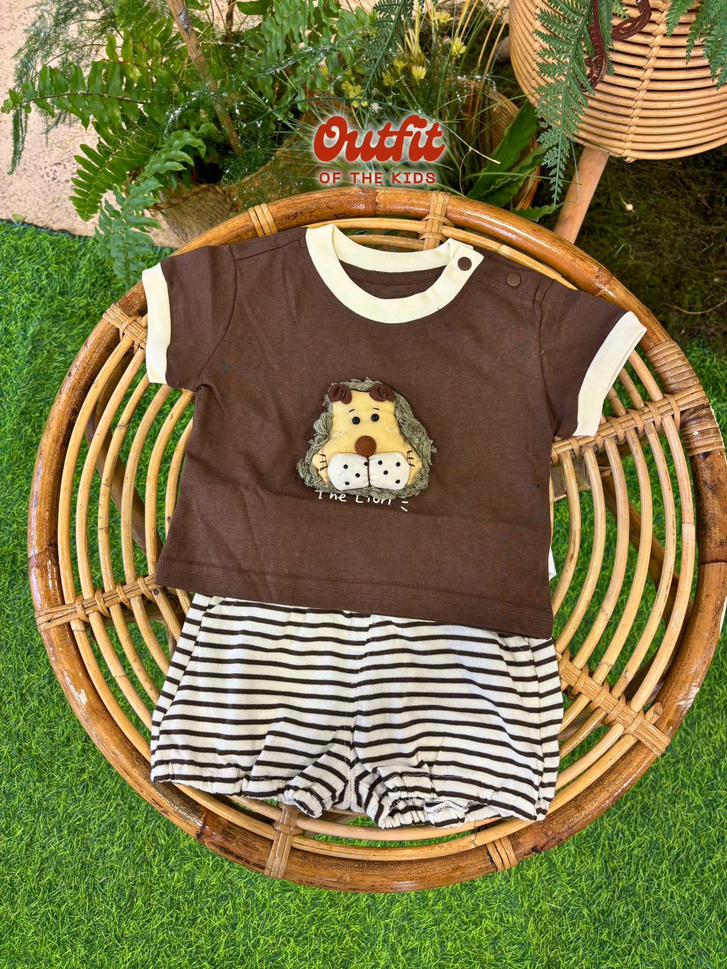 Roar Roar Set