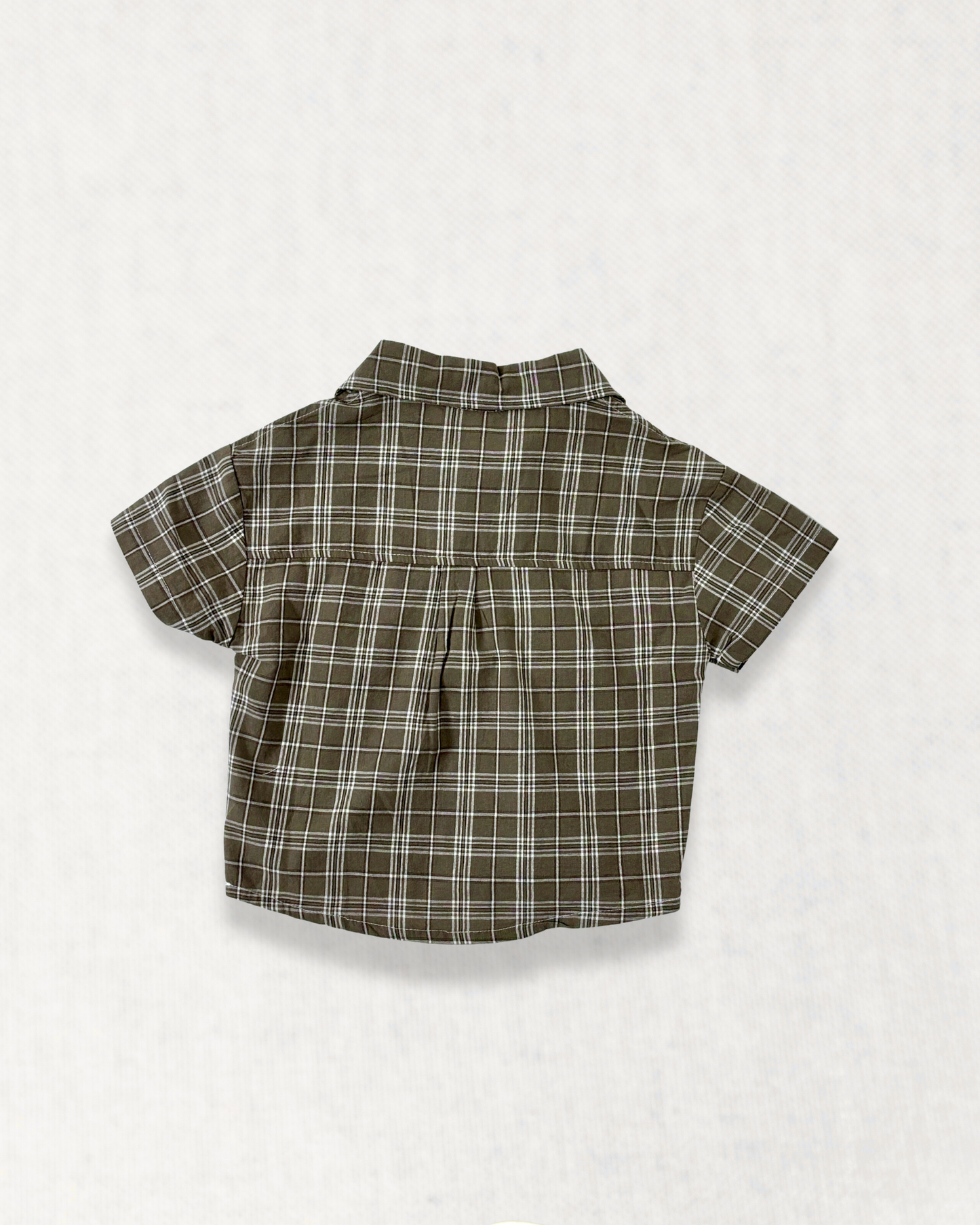 Bear Buddy Plaid Shirt