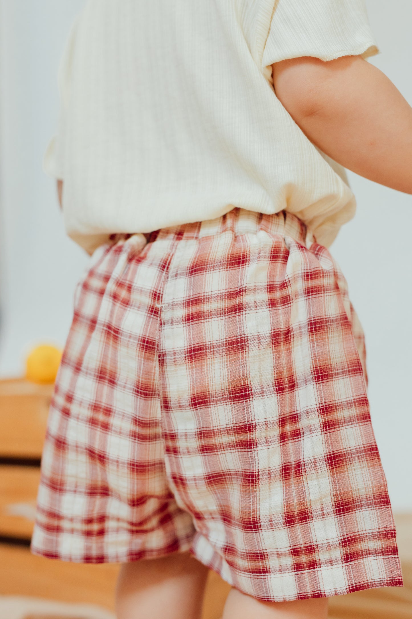 Bunny Garden Plaid Skort Set