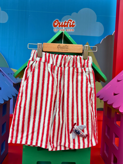 Ready to Fly Shorts
